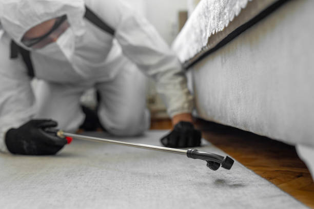 Professional Pest Control technician working in Panama City Beach, FL