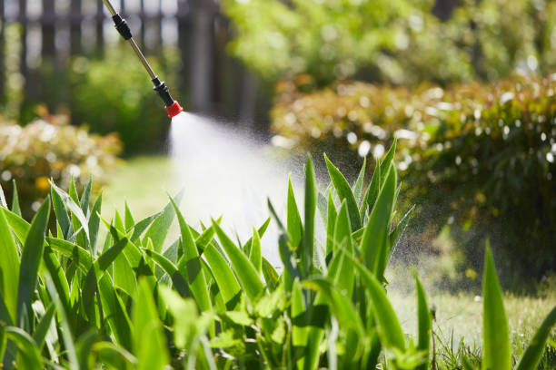 24/7 Emergency Mosquito Control experts in Panama City Beach, FL