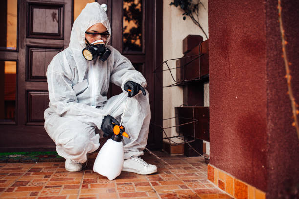 Reliable Mosquito Control contractor in Panama City Beach, FL by Nex Pest Control