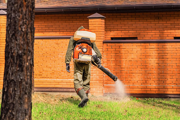 Trusted Rodent Control service in Panama City Beach, FL - Nex Pest Control